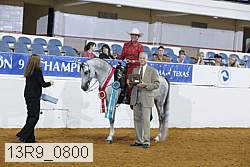 13r9_0800 thumbnail