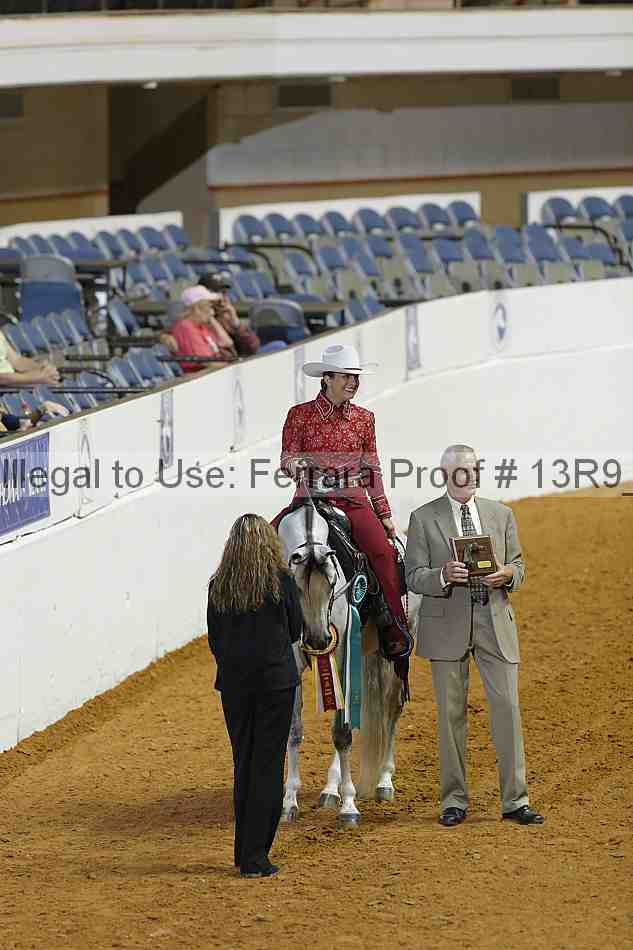 Proof Number 13r9_0804