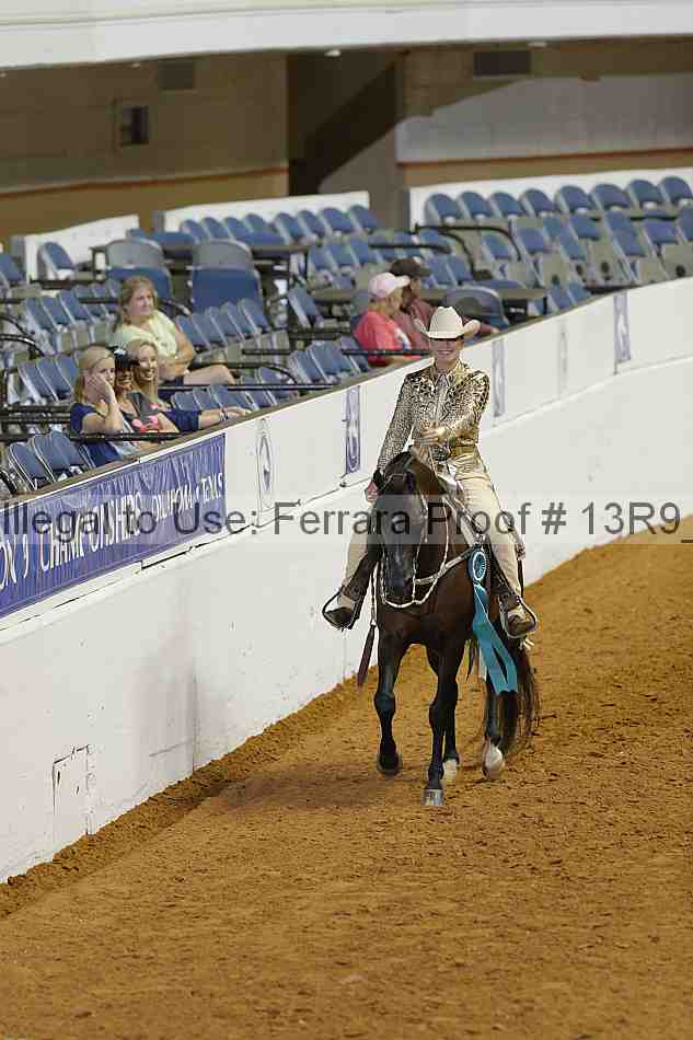 Proof Number 13r9_0813