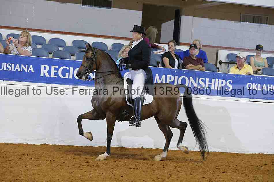 Proof Number 13r9_0860