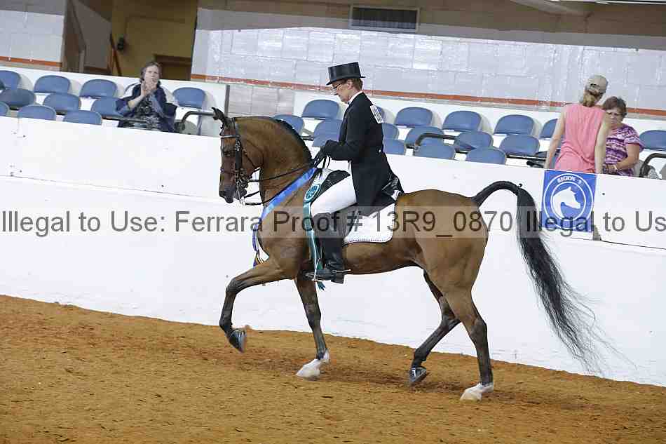 Proof Number 13r9_0870