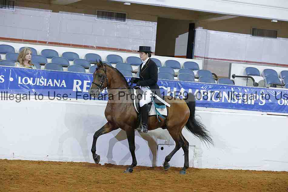 Proof Number 13r9_0874