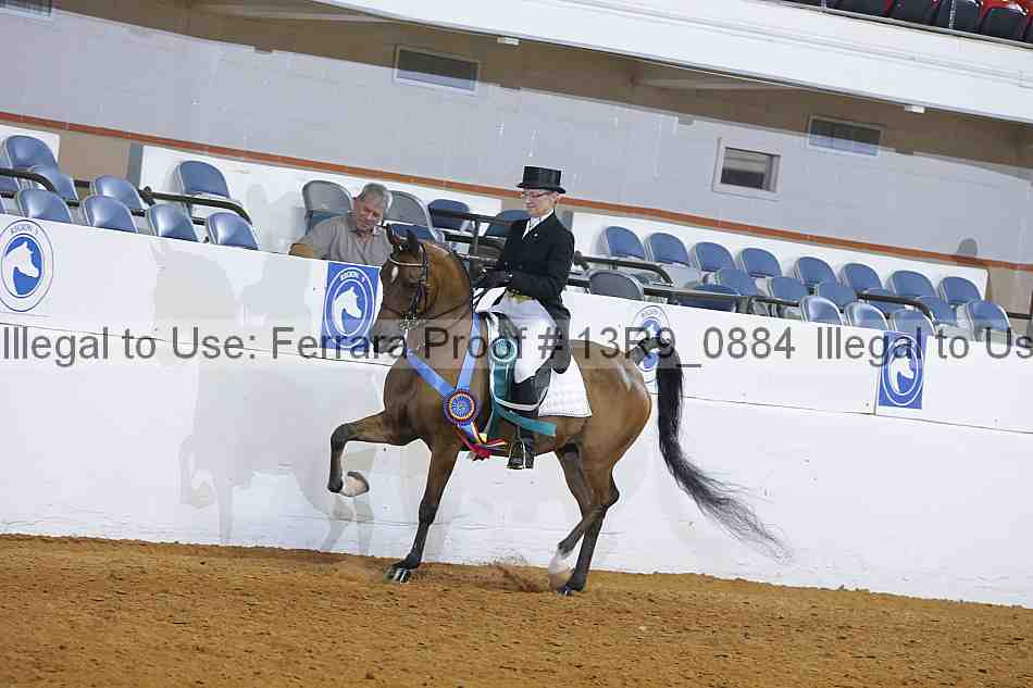 Proof Number 13r9_0884