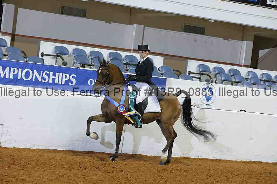 Proof Number 13r9_0885