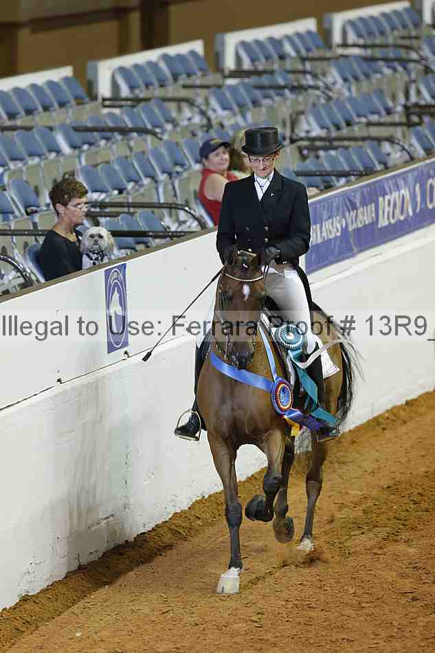 Proof Number 13r9_0887