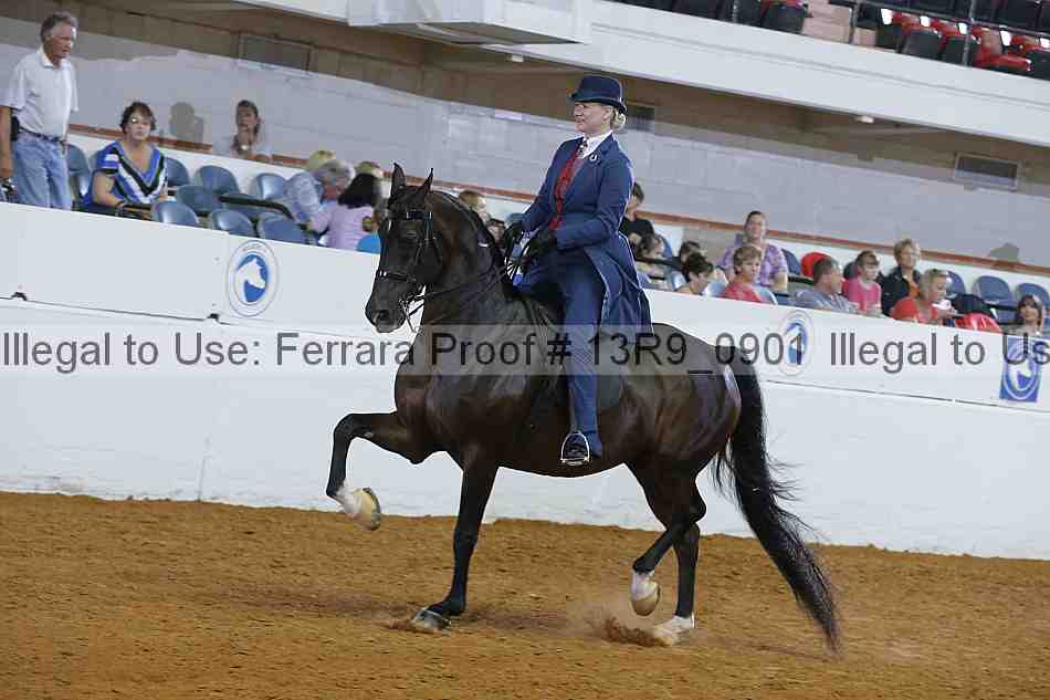 Proof Number 13r9_0901