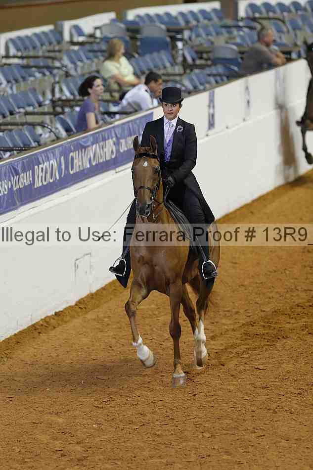 Proof Number 13r9_0909