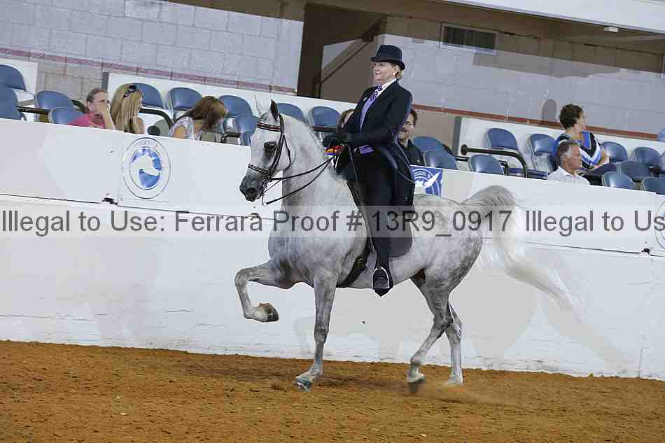 Proof Number 13r9_0917