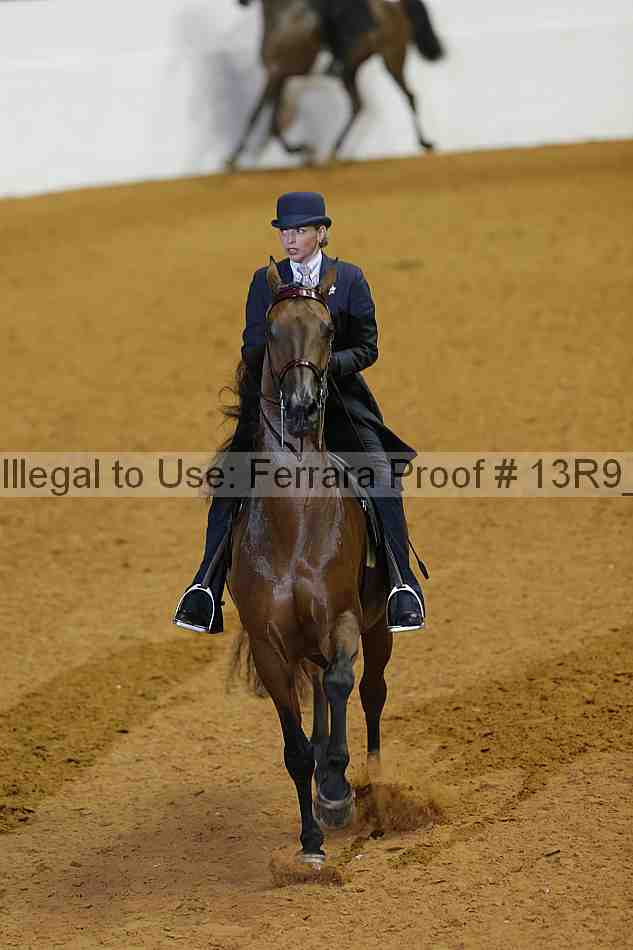 Proof Number 13r9_0925