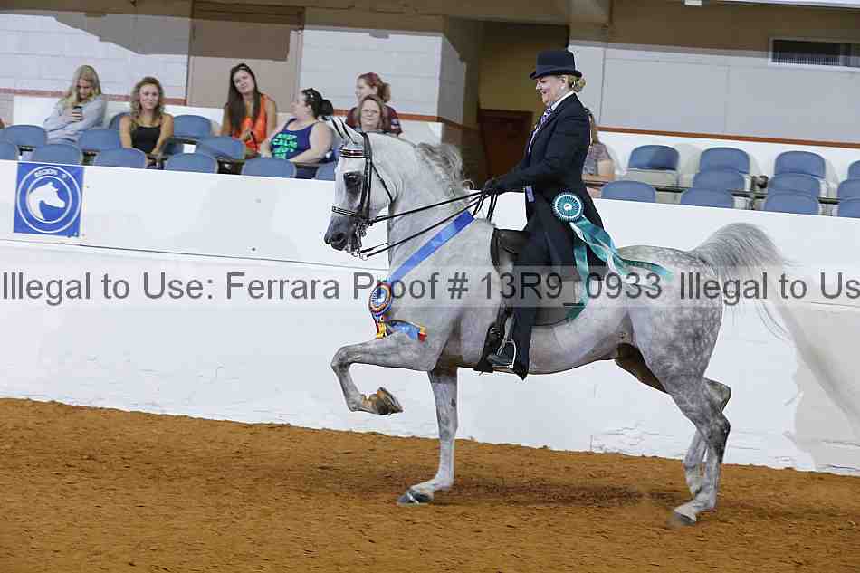 Proof Number 13r9_0933