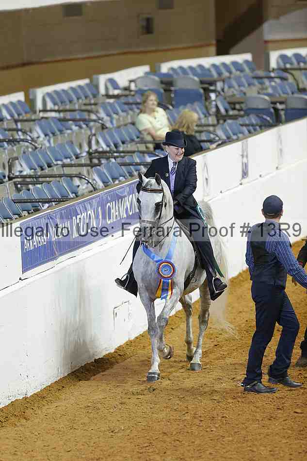 Proof Number 13r9_0934