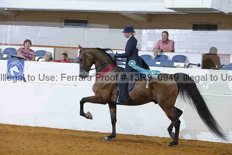 Proof Number 13r9_0949