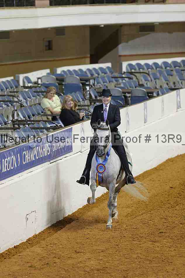 Proof Number 13r9_0957
