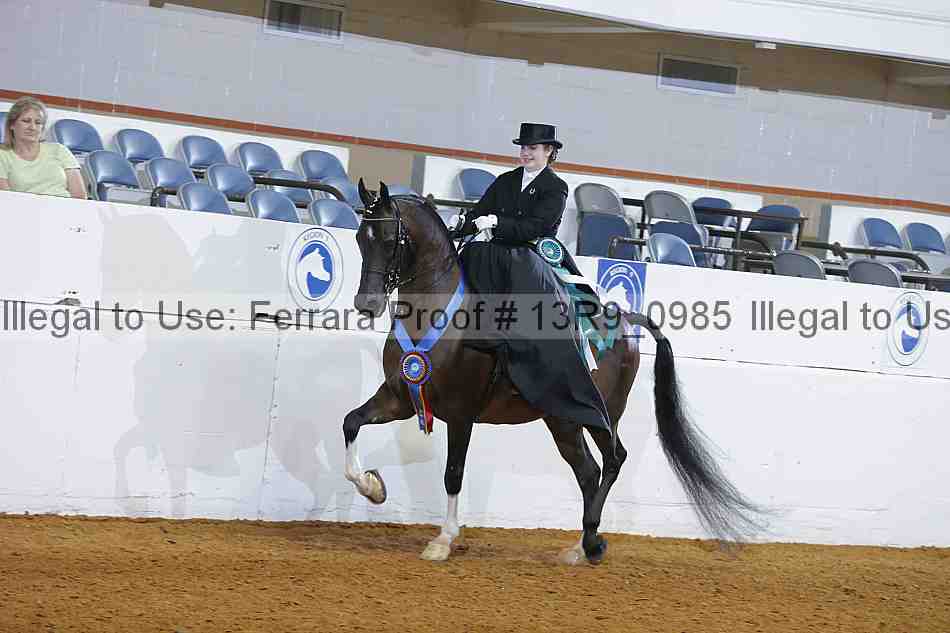 Proof Number 13r9_0985