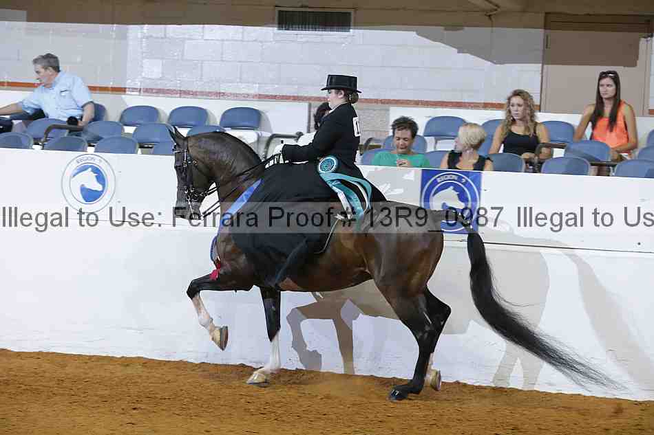 Proof Number 13r9_0987