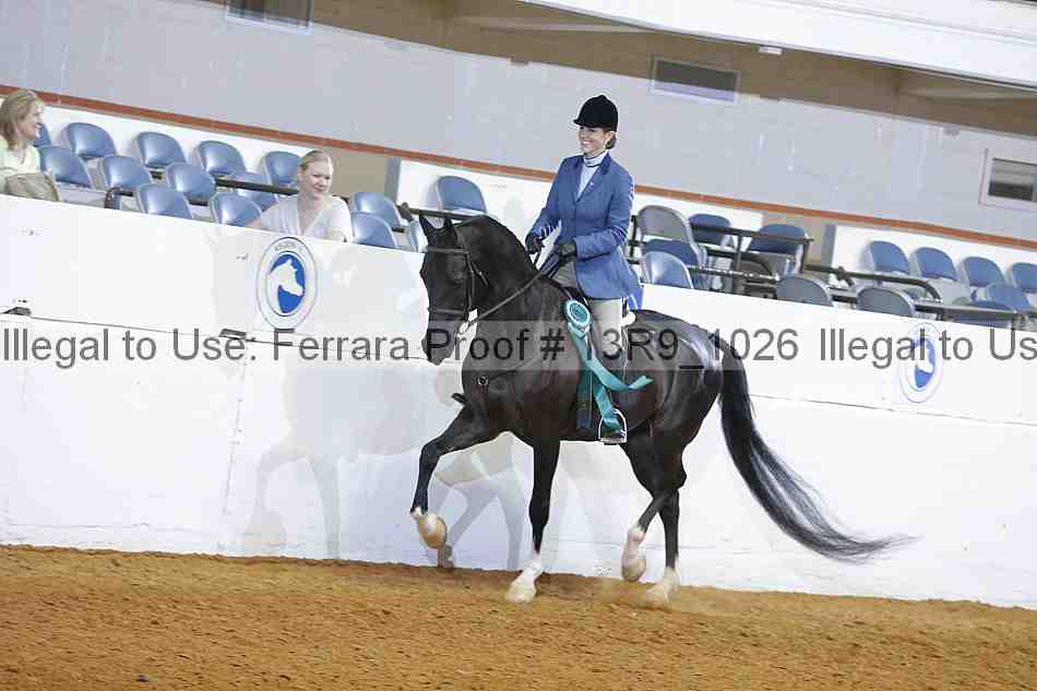 Proof Number 13r9_1026