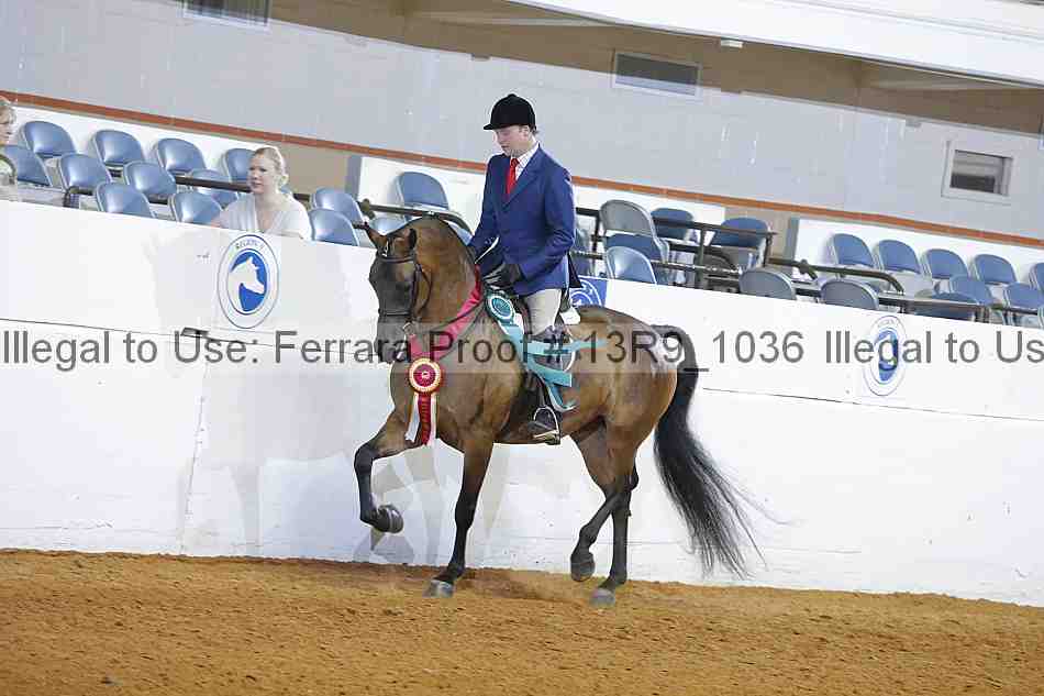 Proof Number 13r9_1036
