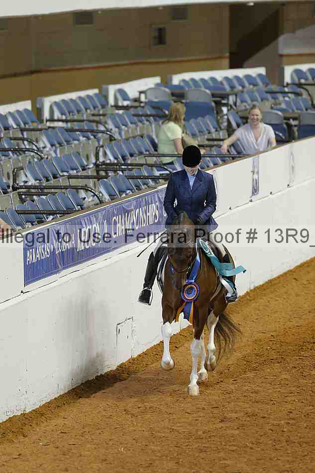 Proof Number 13r9_1047