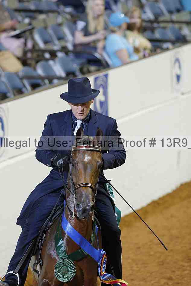 Proof Number 13r9_1076