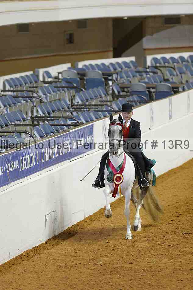 Proof Number 13r9_1090