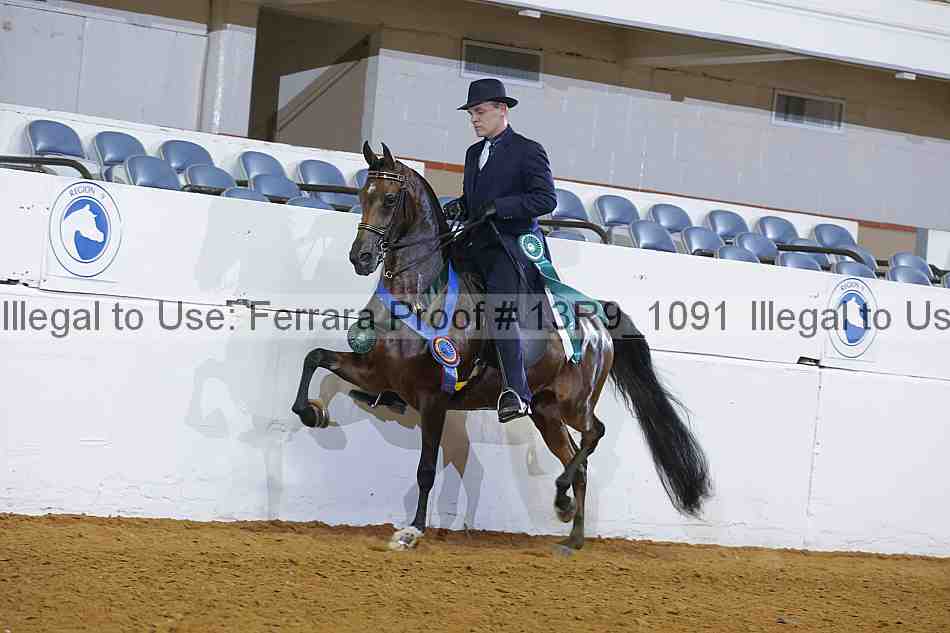 Proof Number 13r9_1091
