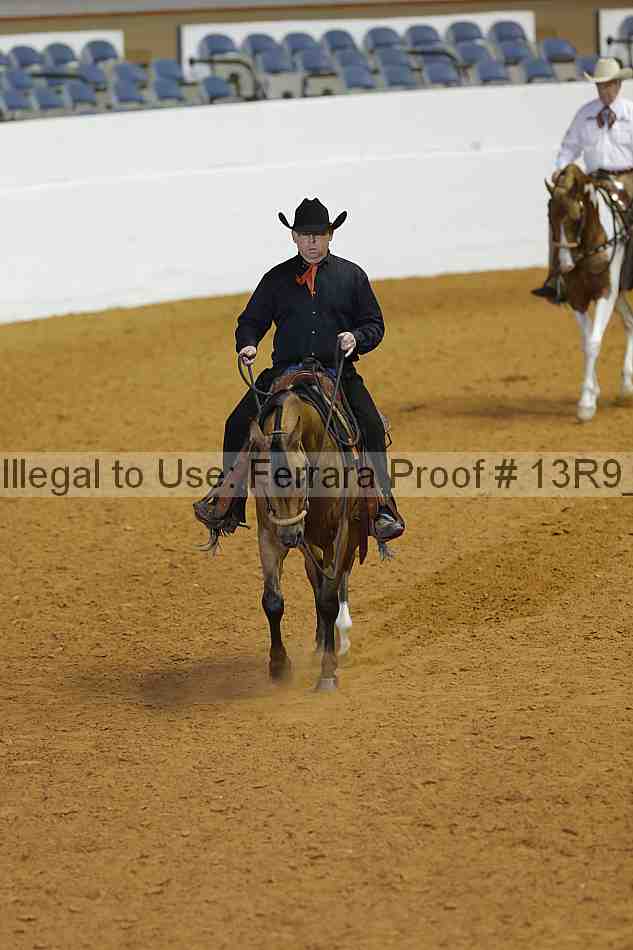 Proof Number 13r9_1102