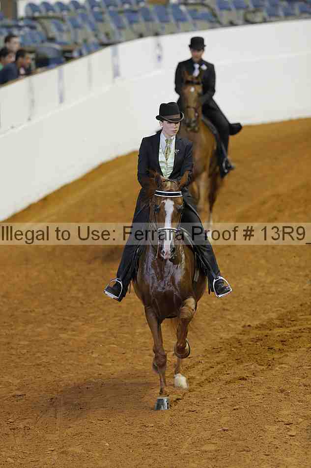 Proof Number 13r9_1206
