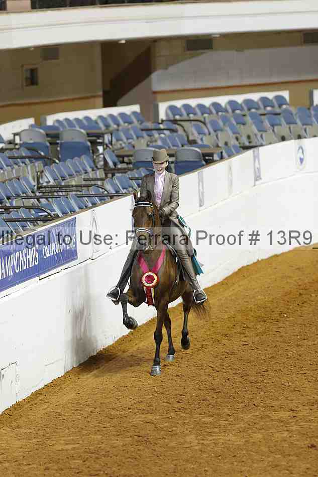 Proof Number 13r9_1257