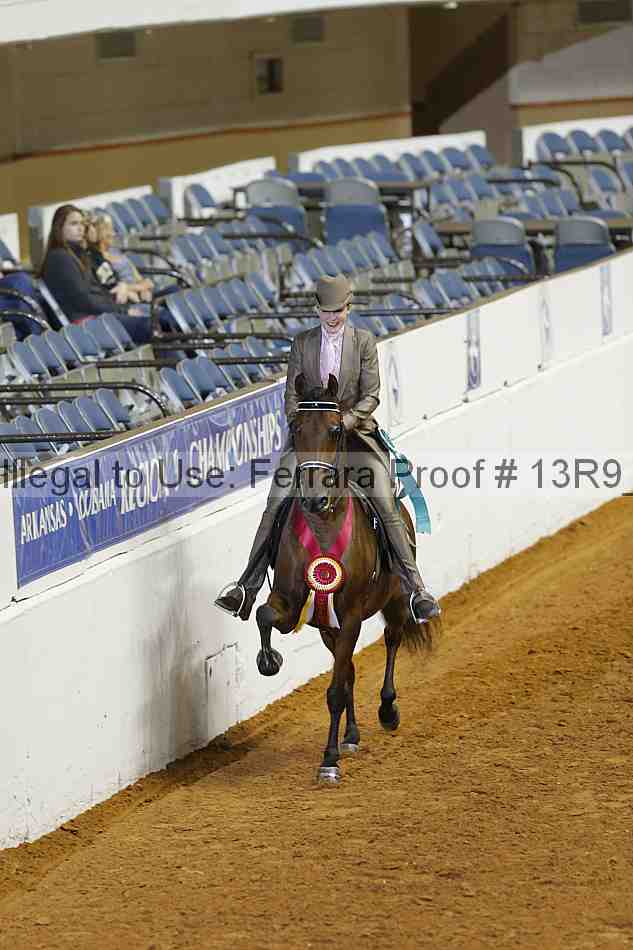 Proof Number 13r9_1258