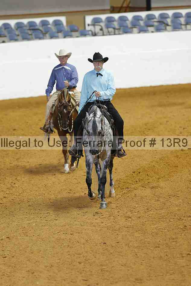 Proof Number 13r9_1285