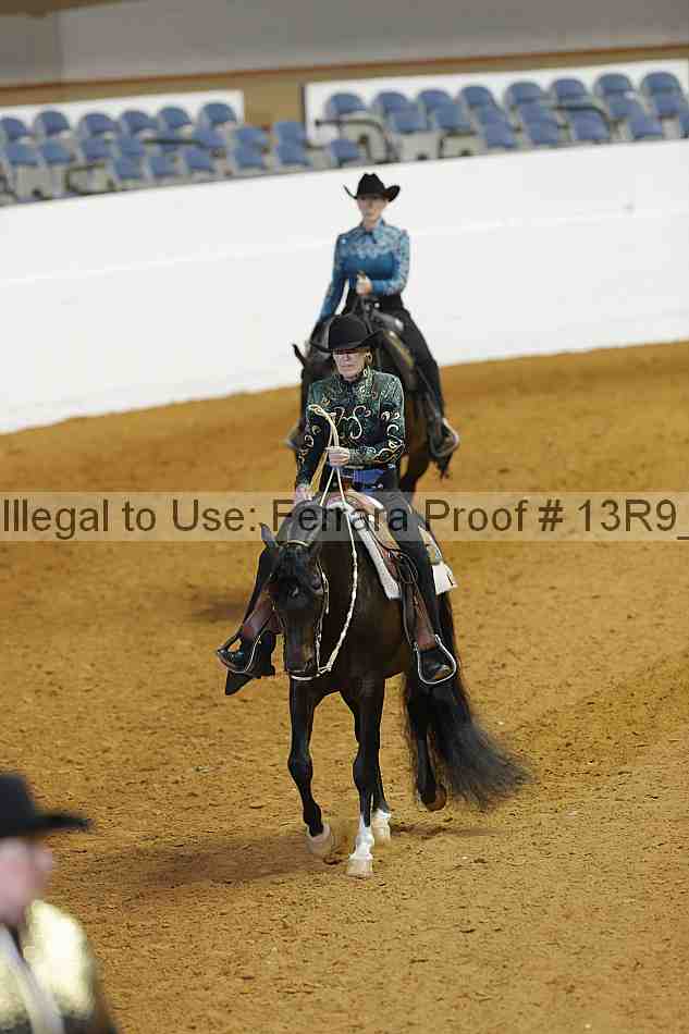Proof Number 13r9_1289