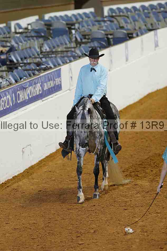 Proof Number 13r9_1306