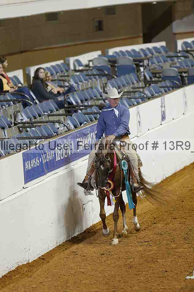 Proof Number 13r9_1313