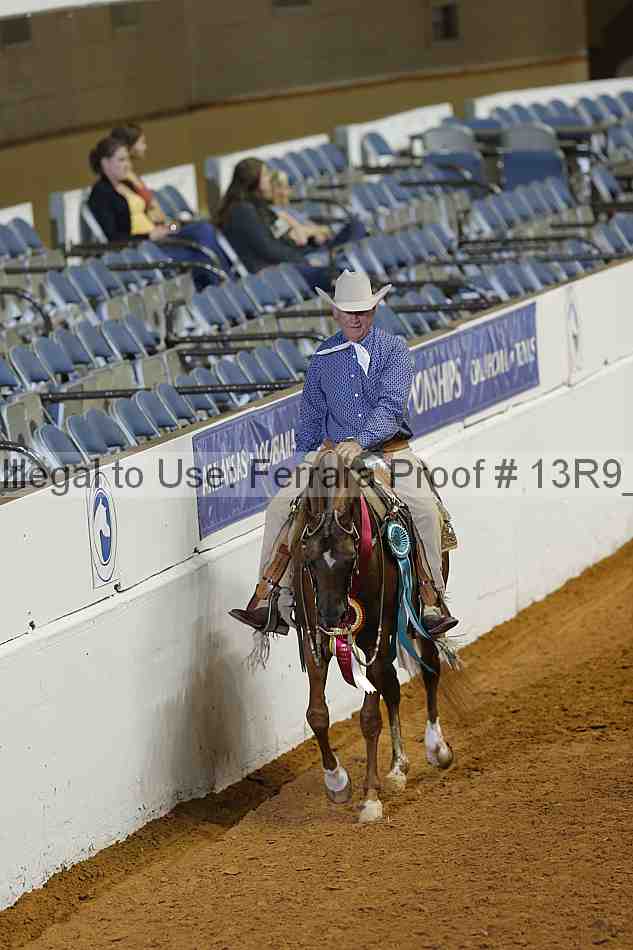 Proof Number 13r9_1314