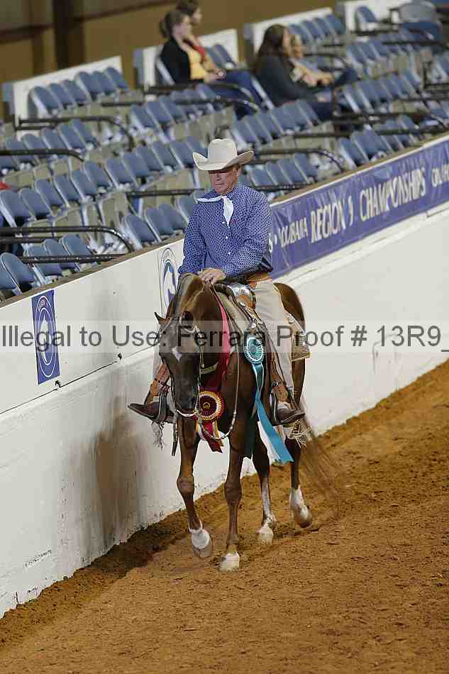 Proof Number 13r9_1316