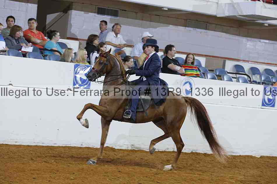 Proof Number 13r9_1336