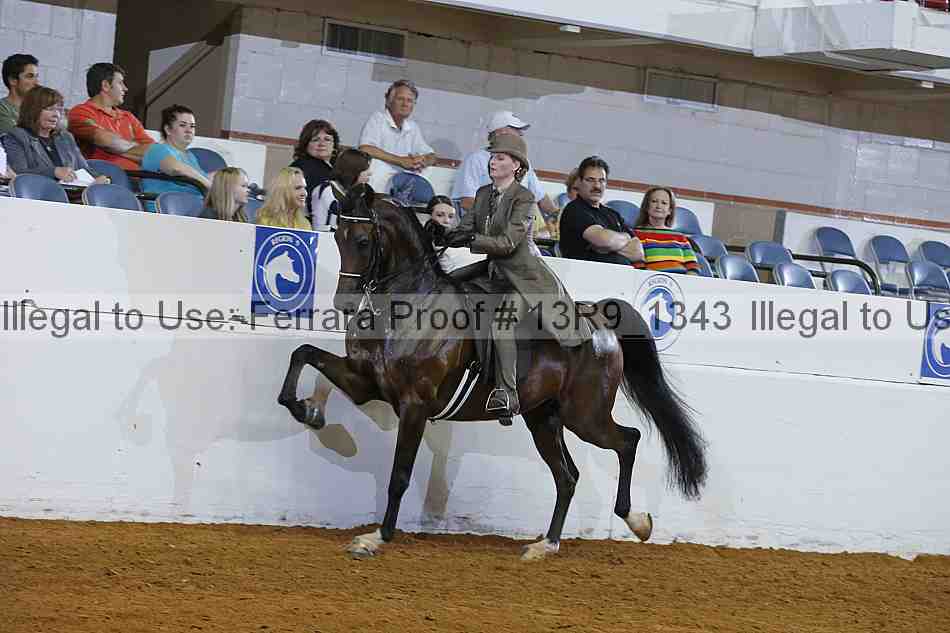 Proof Number 13r9_1343