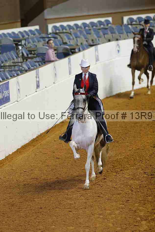 Proof Number 13r9_1346