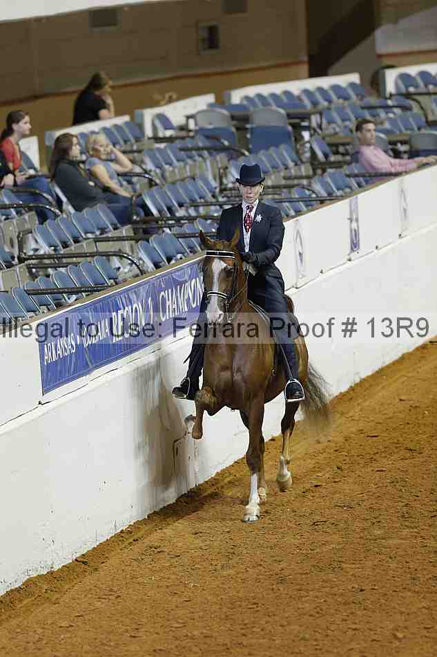 Proof Number 13r9_1349