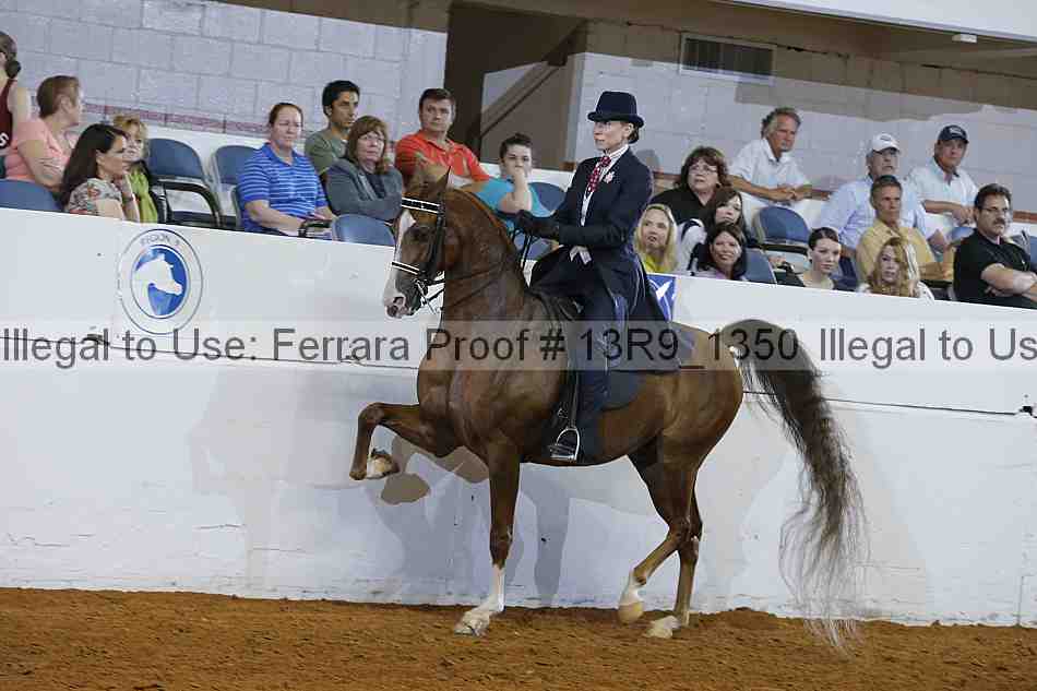 Proof Number 13r9_1350
