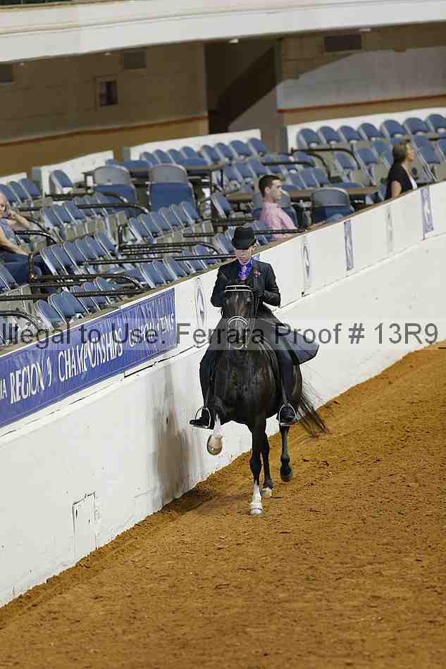 Proof Number 13r9_1351