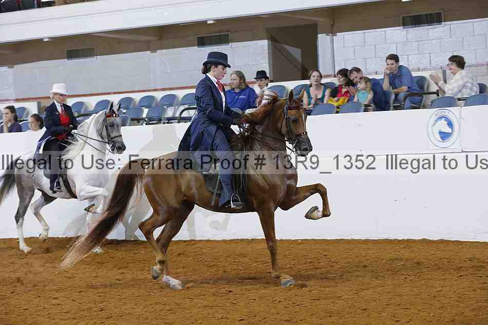 Proof Number 13r9_1352