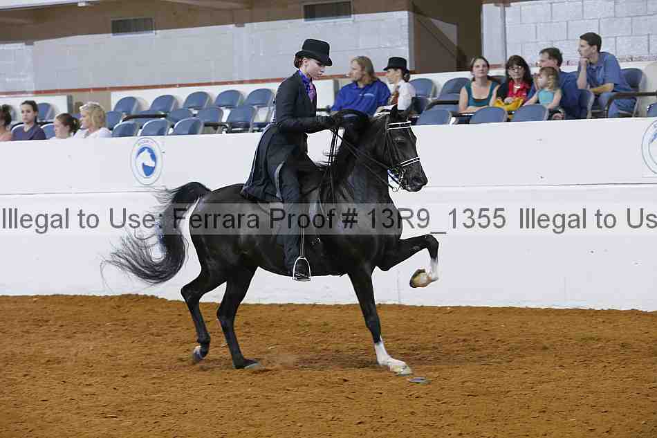 Proof Number 13r9_1355