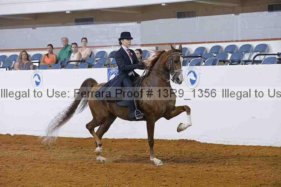 Proof Number 13r9_1356
