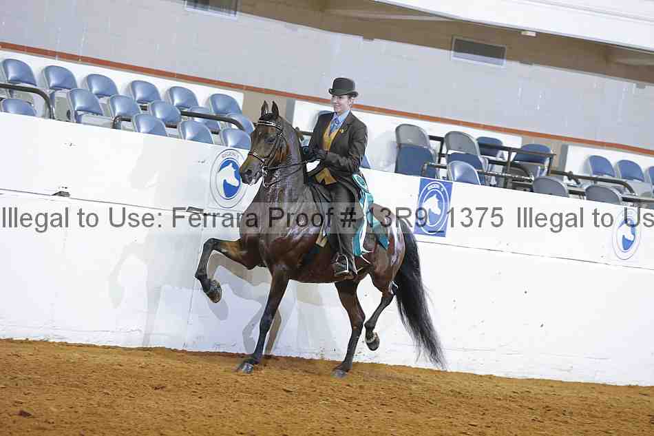 Proof Number 13r9_1375