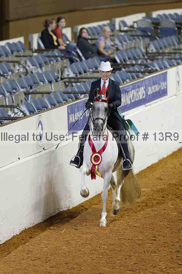 Proof Number 13r9_1386