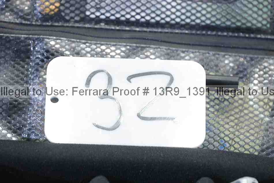 Proof Number 13r9_1391