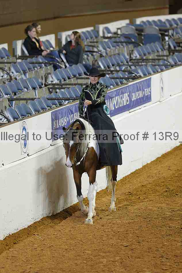 Proof Number 13r9_1406