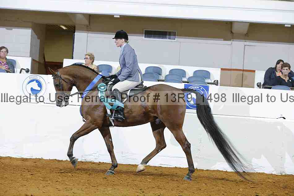 Proof Number 13r9_1498