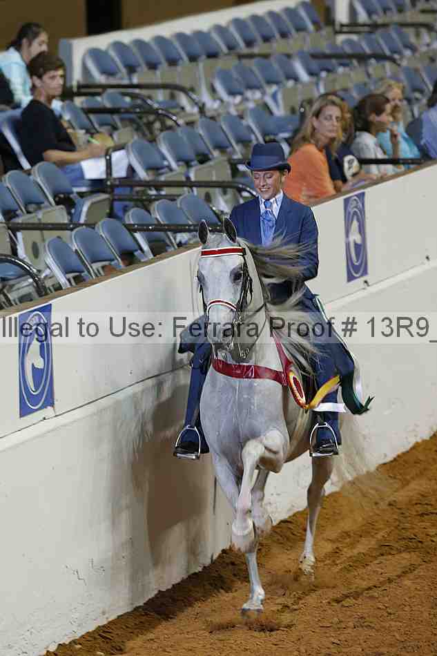 Proof Number 13r9_1534